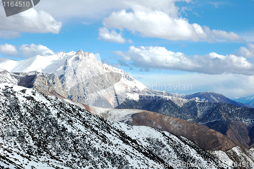 Image of Landscape in winter