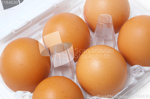 Image of Box of eggs