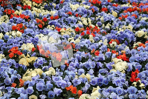 Image of Natural background