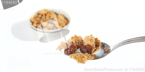 Image of Raisin Bran Cereal in spoon