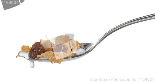 Image of Raisin Bran Cereal in spoon
