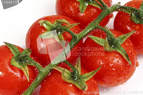 Image of tomatoes background