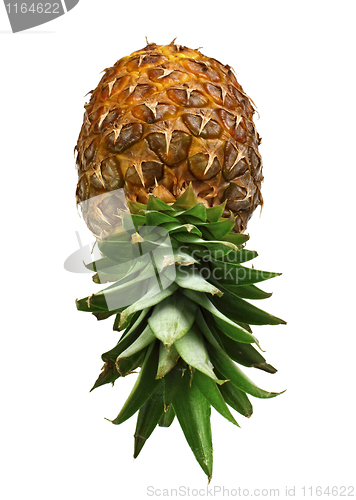 Image of pineapple isolated on white