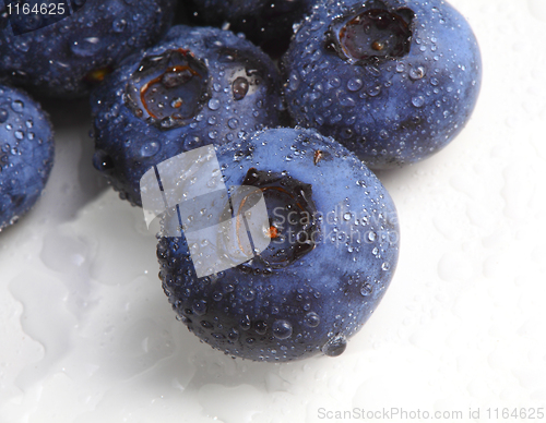 Image of blueberry closeup