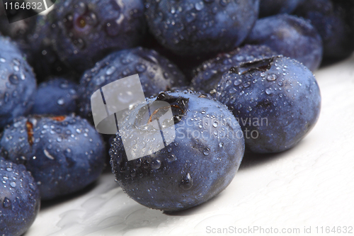Image of blueberry closeup