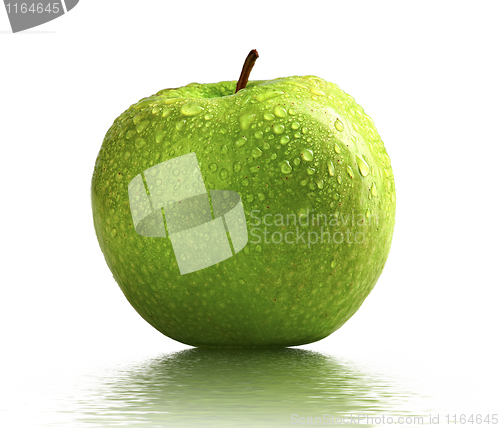 Image of wet green apple