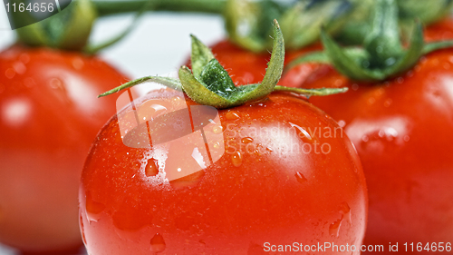 Image of fresh red tomatoes