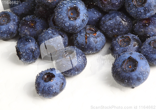 Image of blueberry detail  background