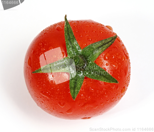 Image of lonely tomato
