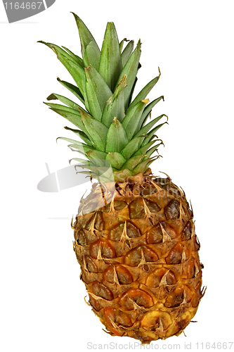 Image of pineapple background