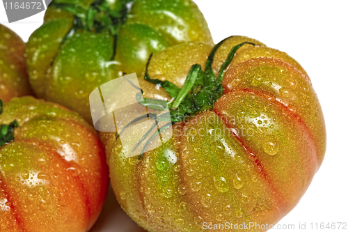 Image of green and red tomatoes