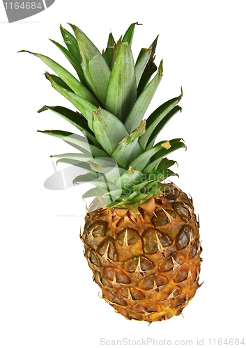 Image of pineapple fruit isolated on white