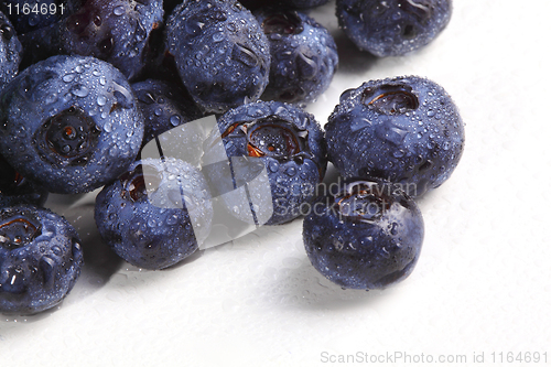 Image of blueberry detail  background