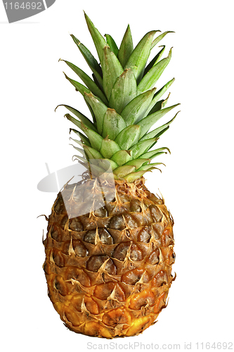 Image of frontal pineapple image