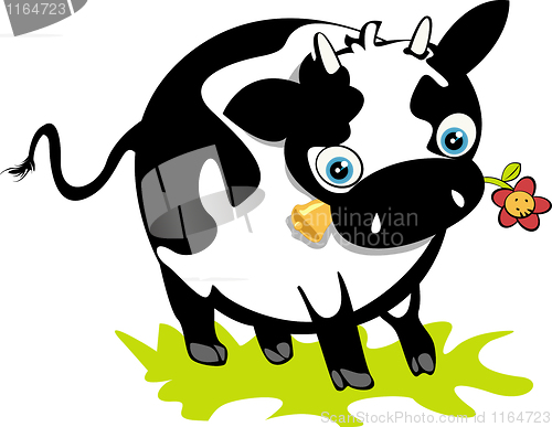 Image of Cute cow