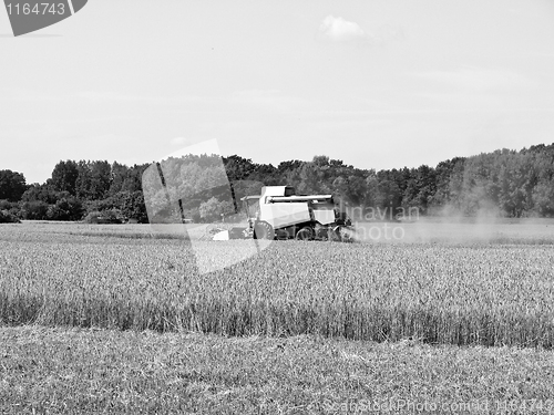 Image of Harvest