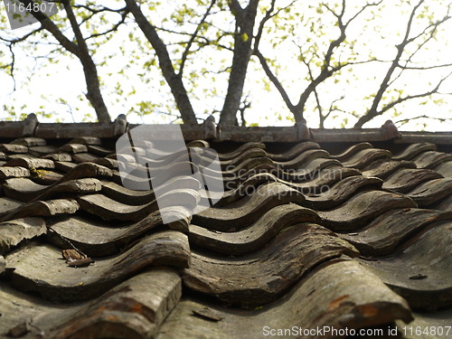 Image of roof tiles