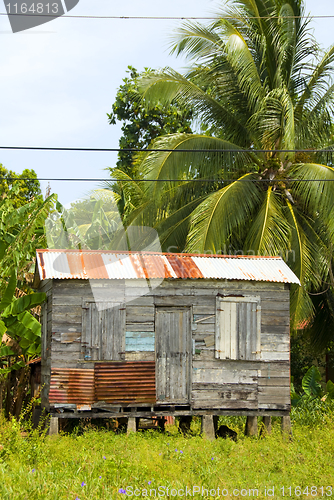 Image of ramshackle zinc clapboard house jungle Corn Island Nicaragua