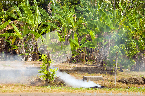 Image of garbage burning jungle Corn Island Nicaragua