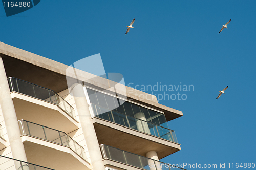 Image of Beach apartments