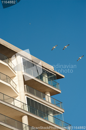 Image of Beach apartments