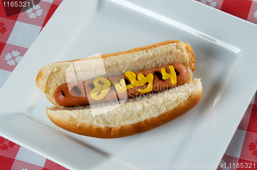 Image of July 4th, Independence Day, Hot Dog