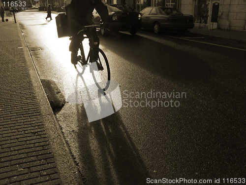 Image of Early morning cyclist