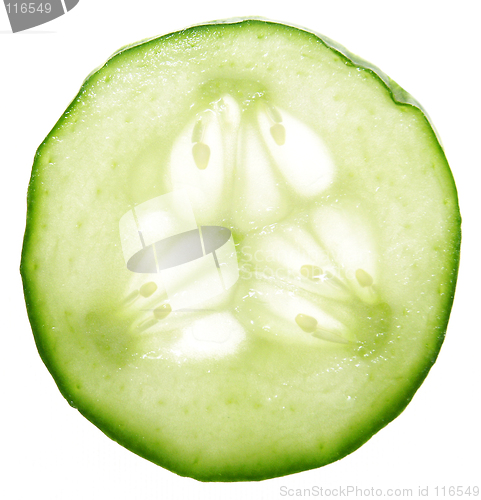 Image of CUCUMBER