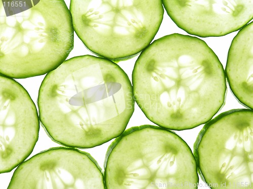 Image of CUCUMBER PATTERN