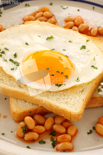 Image of Parsley On Egg