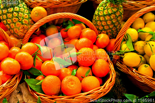 Image of Tangerine basket