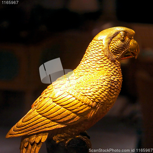Image of Golden parrot