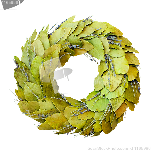 Image of Laurel wreath isolated