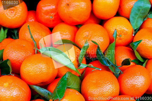 Image of Tangerine with leaves