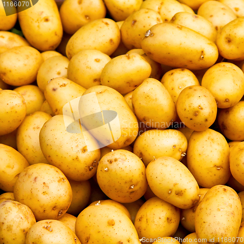 Image of Potato pattern