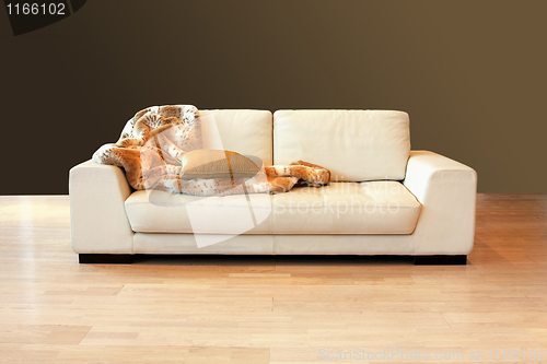 Image of White sofa