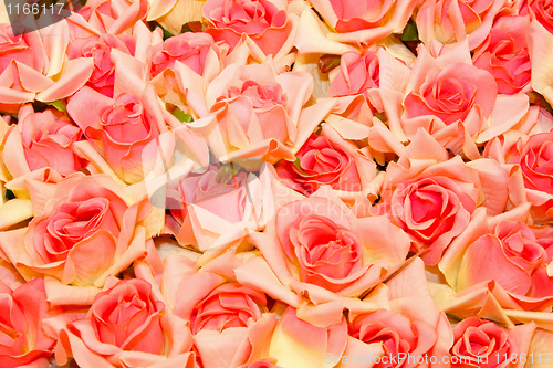 Image of Roses background