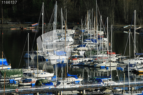 Image of Sail Boats