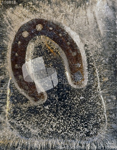 Image of horse shoe