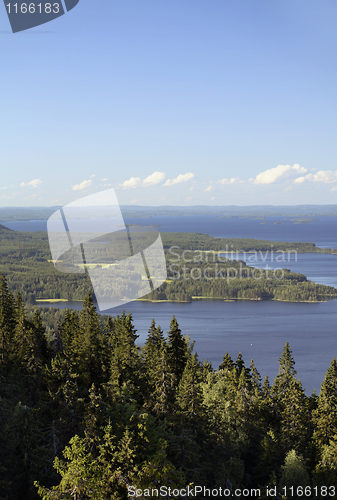 Image of Koli