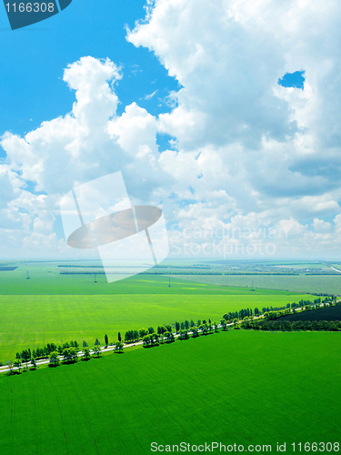 Image of Green field.