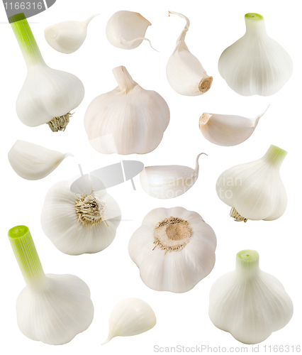 Image of Garlic set.