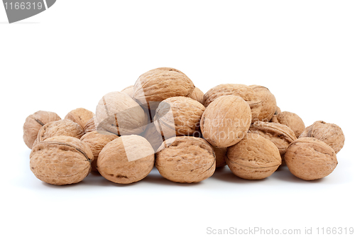 Image of Small pile of walnuts