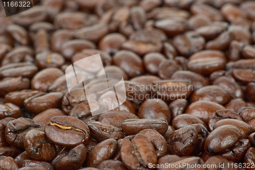 Image of Coffee beans