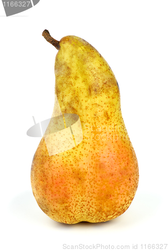 Image of Long yellow pear