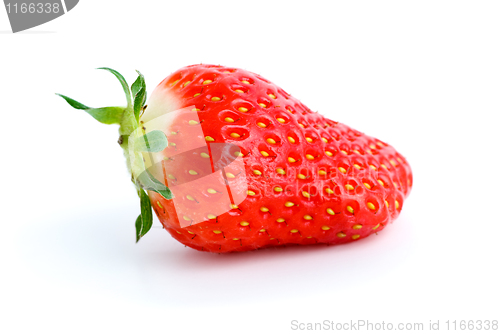 Image of Single ripe red strawberry