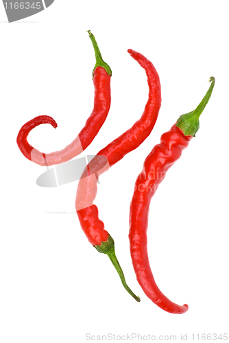 Image of Three red hot chili peppers