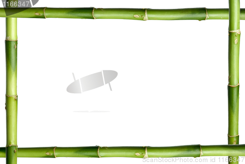 Image of Green bamboo stick frame