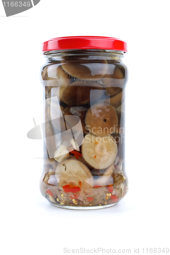 Image of Glass jar with marinated milk mushrooms