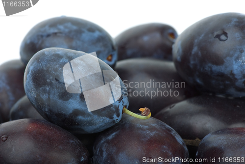 Image of Close-up shot of blue plums